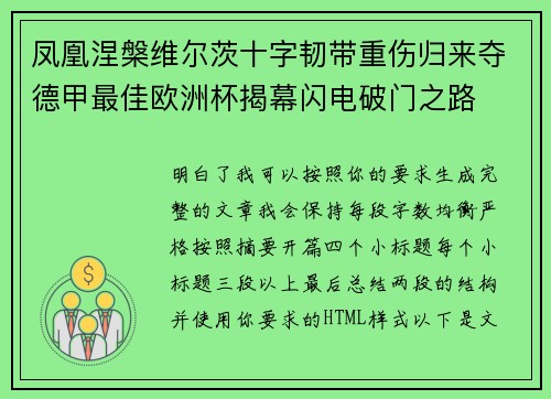 凤凰涅槃维尔茨十字韧带重伤归来夺德甲最佳欧洲杯揭幕闪电破门之路